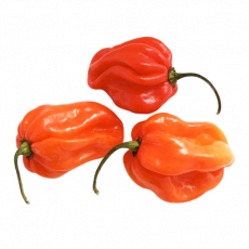 Scotch Bonnet Peppers  Per 500G