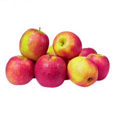 Sll-Crisp Pink Apple Pp X 6 Per...