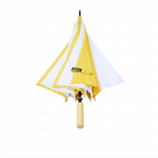  Dolphine Umbrella