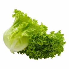 Loose Lettuce Per Pc