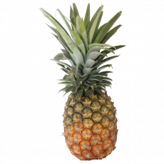 Delmonte Gold Pineapple Per Kg