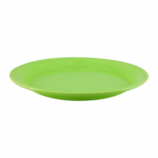 Decent Melamine Tray  C10