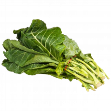 Fr-Recea-Sukuma P/Bunch
