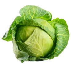 White Cabbage Per Kg