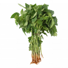 Fr- Ksl Kunde Per Bunch