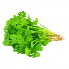 Ksl Dhania Per Bunch