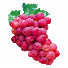 Ksl Packed Red Grapes Punnet...